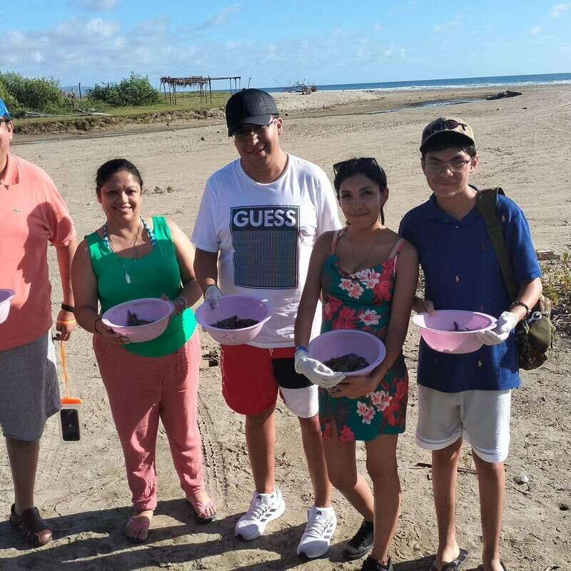 Zihuatanejo, Guerrero: Turtle Release Experience - Key Points