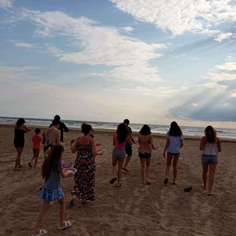 Zihuatanejo, Guerrero: Turtle Release Experience - An In-Depth Look at the Turtle Release Experience