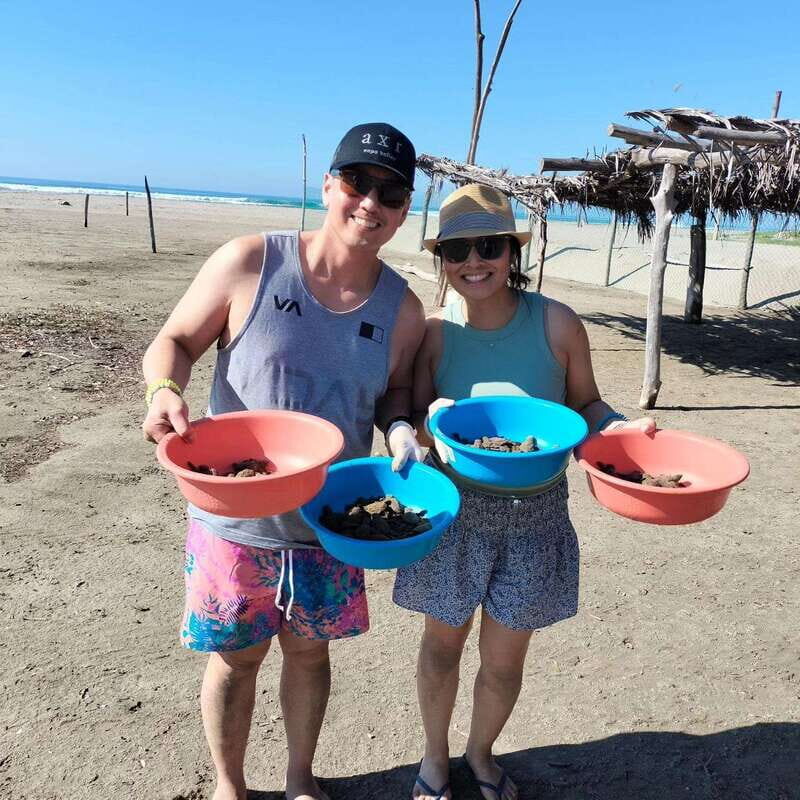 Zihuatanejo, Guerrero: Turtle Release Experience - Practical Tips for Making the Most of the Tour