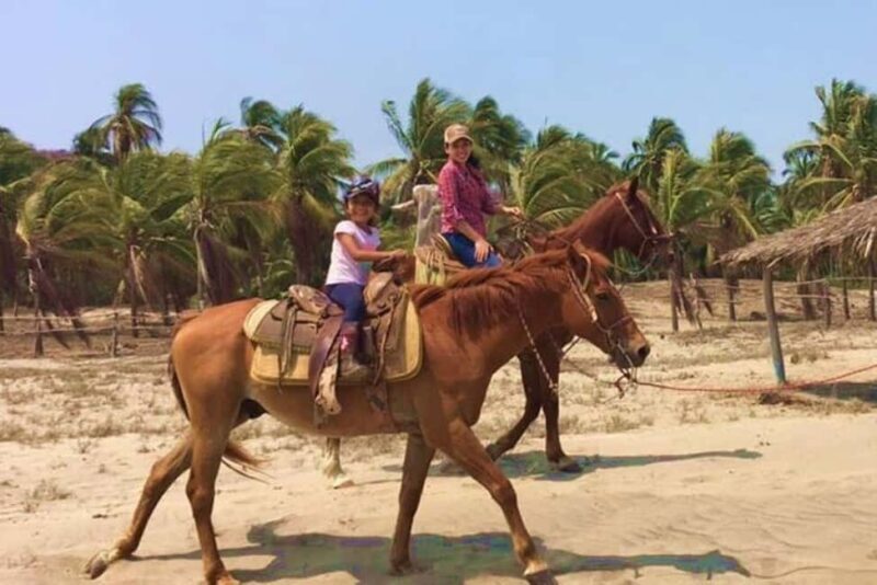 Zihuatanejo: Horseback Riding Tour with Playa Larga Beach - Why This Tour Is Worth Considering