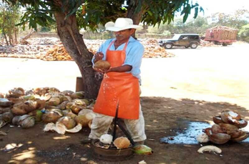 Zihuatanejo Ixtapa: City Tour - FAQ