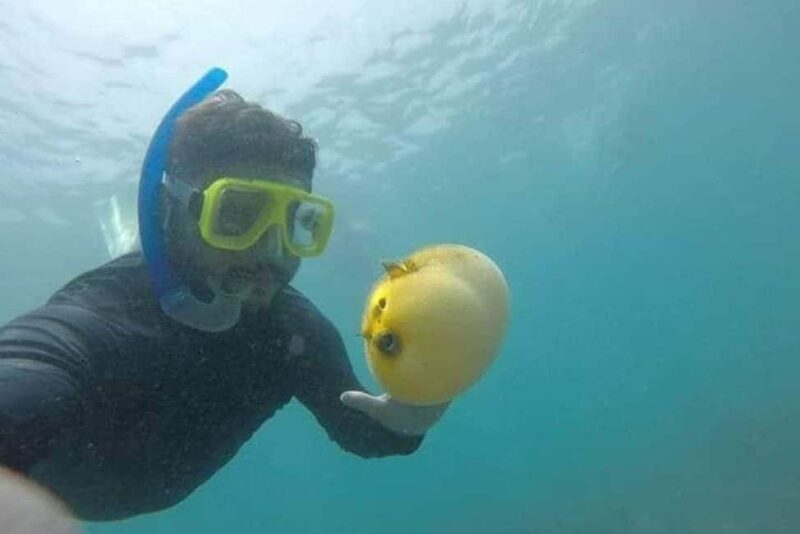 Zihuatanejo: Las Gatas Beach Snorkeling and Kayaking Tour - A Closer Look at the Las Gatas Beach Snorkeling and Kayaking Tour