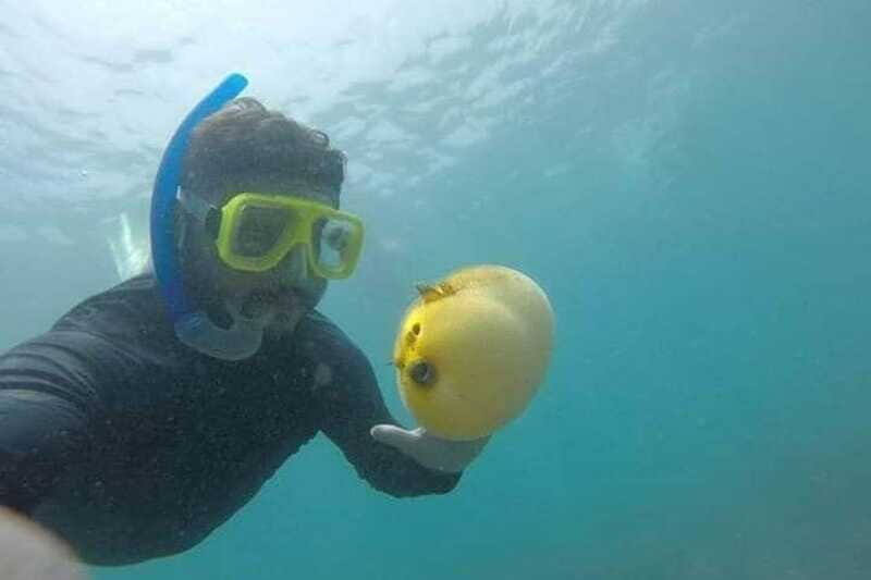 Zihuatanejo: Las Gatas Beach Snorkeling and Kayaking Tour - Who Will Love This Tour?