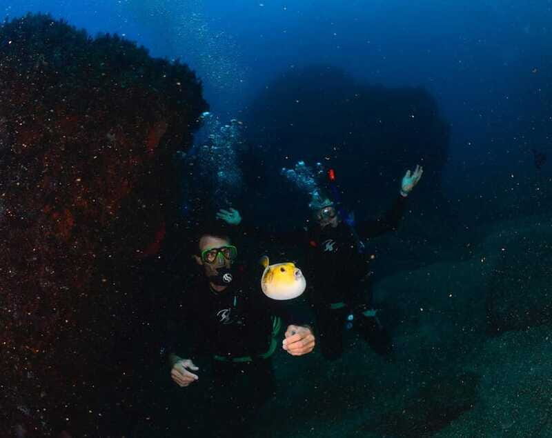 Zihuatanejo: Moonlit Dive at Las Gatas - Practical Details and Tips