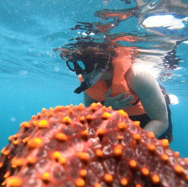 Zihuatanejo: Snorkeling in Manzanillo and Las Gatas - Final Thoughts