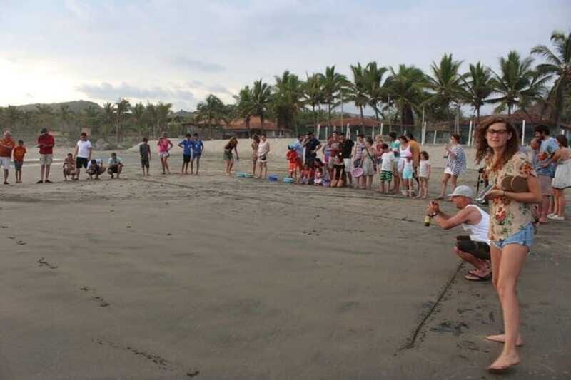 Zihuatanejo: Troncones,Manzanillo Bayband Majahua Beach Tour - Practical Considerations & Who Should Book