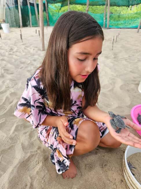 Zihuatanejo: Turtle Release Experience at Playa Blanca - Final Thoughts