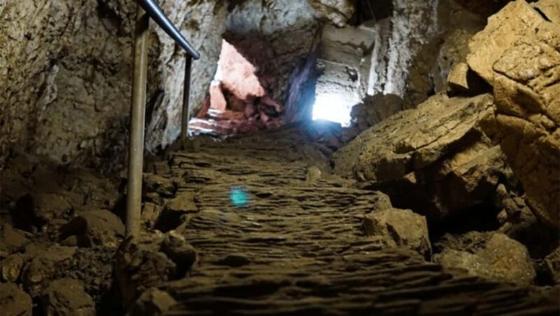 Zimbabwe: Chinhoyi Caves Tour with Lion Viewing and Lunch - Key Points