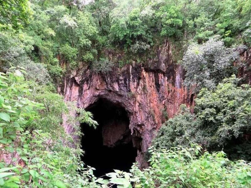 Zimbabwe: Chinhoyi Caves Tour with Lion Viewing and Lunch - Lunch with Scenic Views