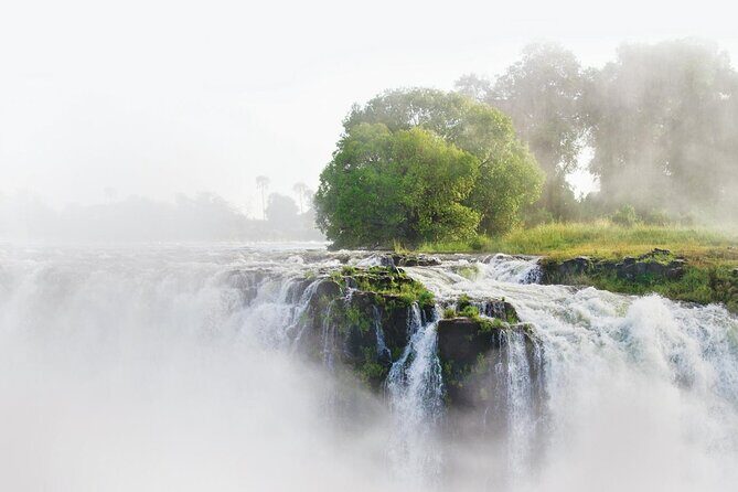 Zimbabwe & Zambia: Guided Tour of the Falls from Both Sides - What Travelers Say: Authentic Insights