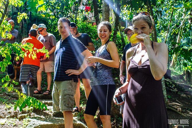 Zimbali's Rasta Tour Lunch - Key Points