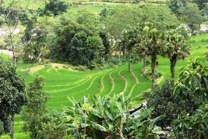 ZinDin Tours in Hagiang - Why This Tour Excels