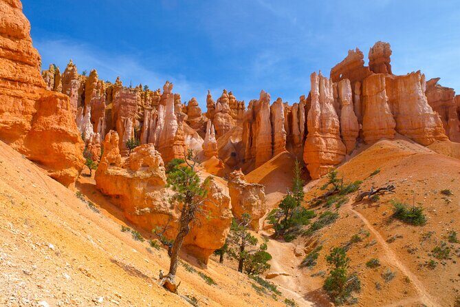 Zion and Bryce Canyon National Park Day Tour from Las Vegas - Starting Point: From Las Vegas to Zion