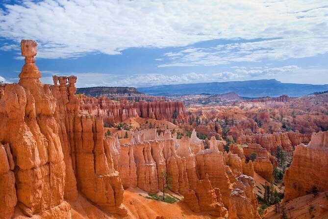 Zion and Bryce Canyon Small Group Tour from Las Vegas - A Closer Look at the Experience