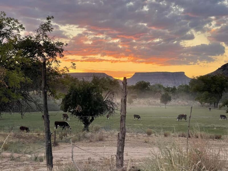 Zion: Harry Potter-Inspired Zion Ghost Tour with Sunset View - Practical Details & Value