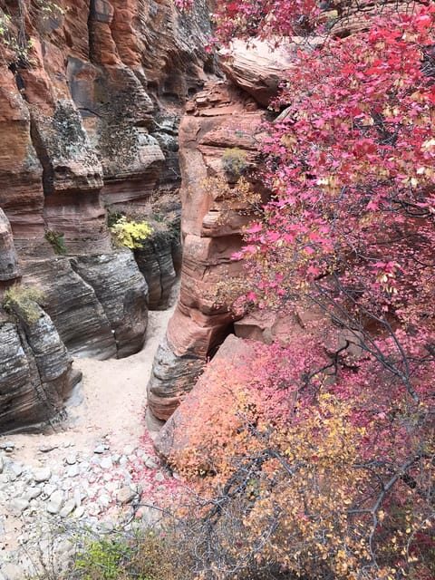 Zion National Park 5-hour Tour: Hike and Drive - An Overview of the Tour Experience