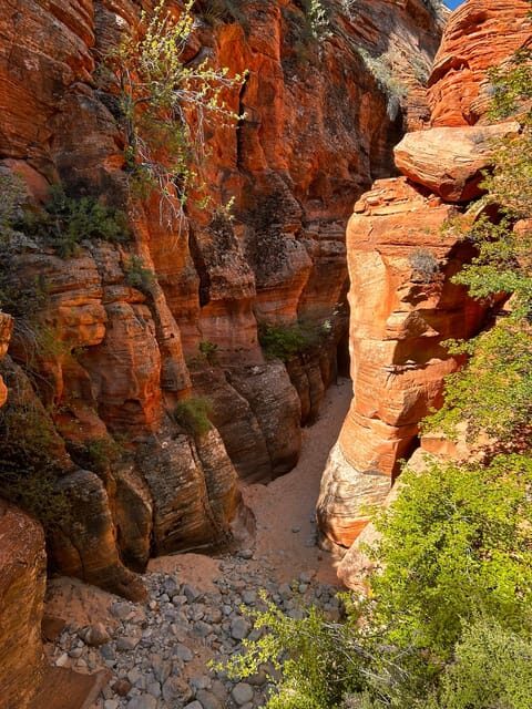 Zion National Park 5-hour Tour: Hike and Drive - What to Expect in Terms of Timing and Flexibility