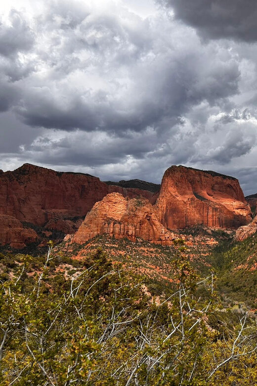 Zion National Park 5-hour Tour: Hike and Drive - Who Will Love This Tour?