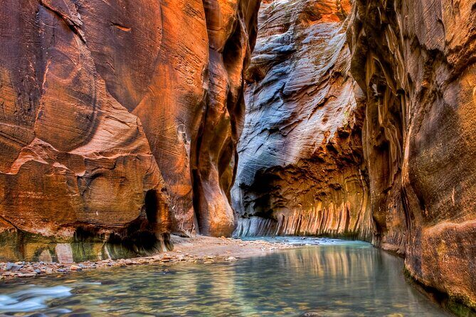 Zion National Park Full-Day Insider Tour - What You Can Expect on the Tour