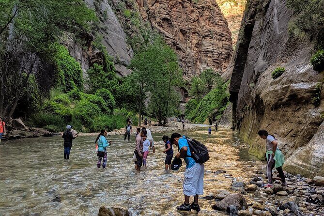 Zion National Park Small Group Tour from Las Vegas - Key Points