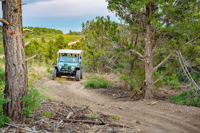 Zion Sunset Jeep Tour - An Overview of the Zion Sunset Jeep Tour