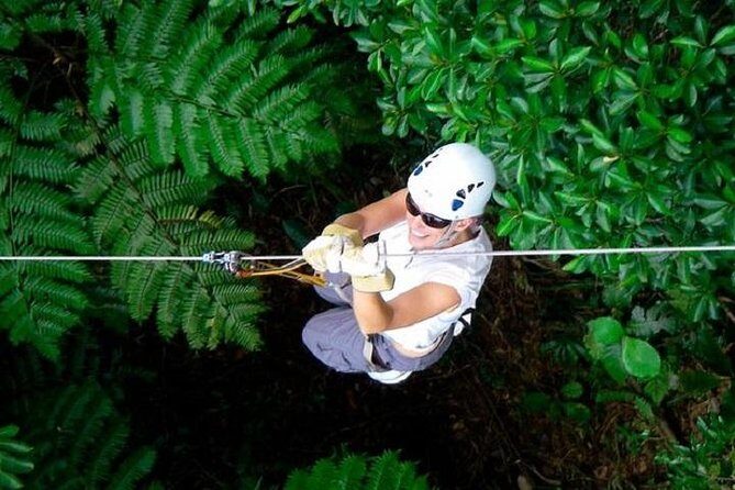 Zip line Fiji ex Fiji Marriot w/private transfer dropoff Nadi Airport or resort - An In-Depth Look at the Zip Line Fiji Experience