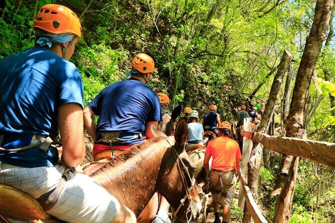 Zip Line, Mules Ride and Walk on the Hanging Bridge - Practical Tips and Considerations