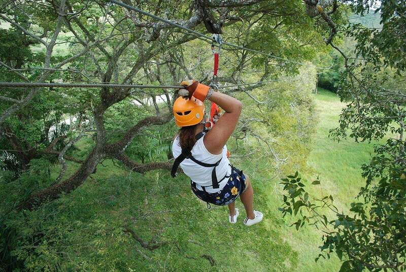 Zip-line outdoor adventure the ultimate experience - The Complete Experience Breakdown