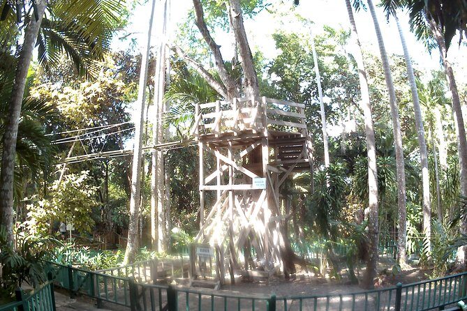 Zip Line over the Dunns River Falls - What to Expect from the Dunns River Falls Zipline Tour