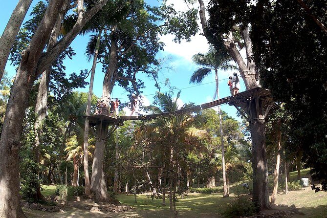 Zip Line over the Dunns River Falls - The Zipline Experience: Fun and Framed by Reviews