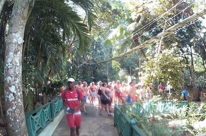 Zip Line over the Dunns River Falls - Authenticity and Practicality: A Realistic Look at the Tour