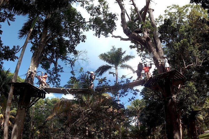 Zip Line over the Dunns River Falls - The Waterfalls and Scenic Sights