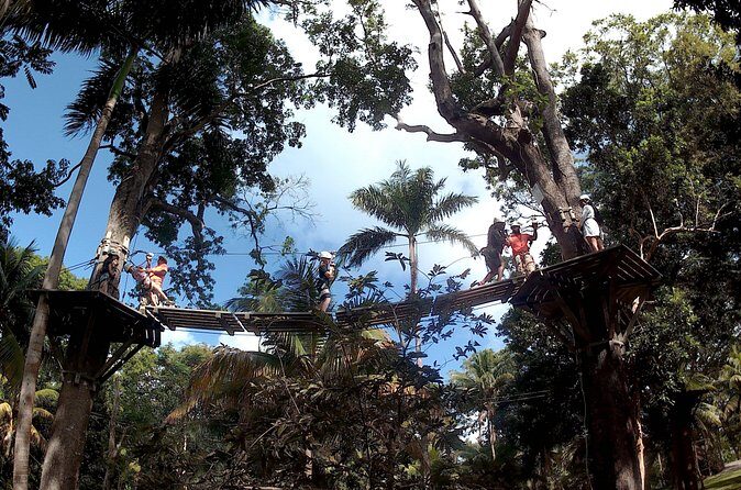 Zip Line over the Dunns River Falls - Who is This Tour For?