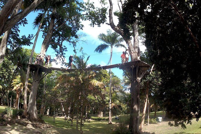 Zip Line over the Dunns River Falls - The Verdict: Is it Worth It?