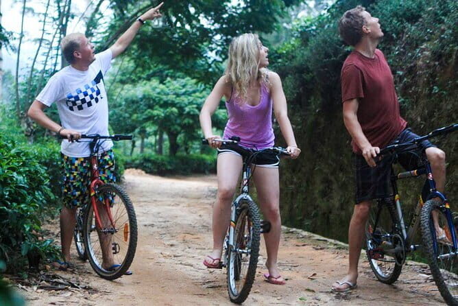 Zip Lining Experience in Ella - Booking, Costs, and Practical Considerations