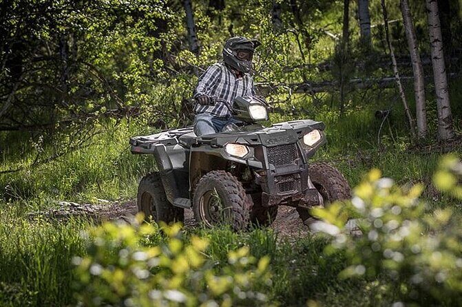 Zip-lining/Horseback Rides/Cat & Atv Inclusive Act with Transpo From Montego Bay - Authentic Experiences and Practical Tips