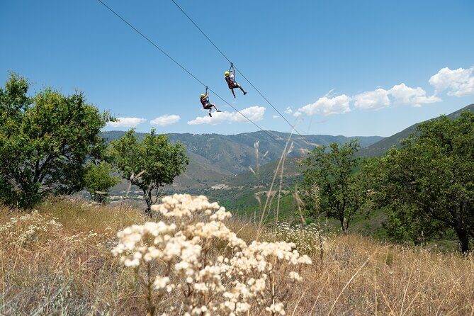 Zip Zoom Ziplines at La Jolla Indian Adventure Park - Frequently Asked Questions