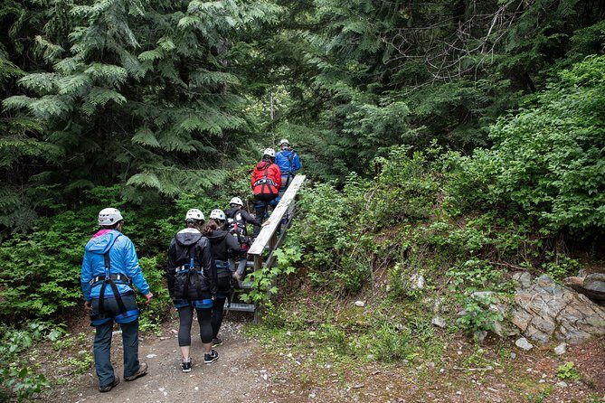 Zipline Adventure in Whistler - What is the Zipline Adventure in Whistler?