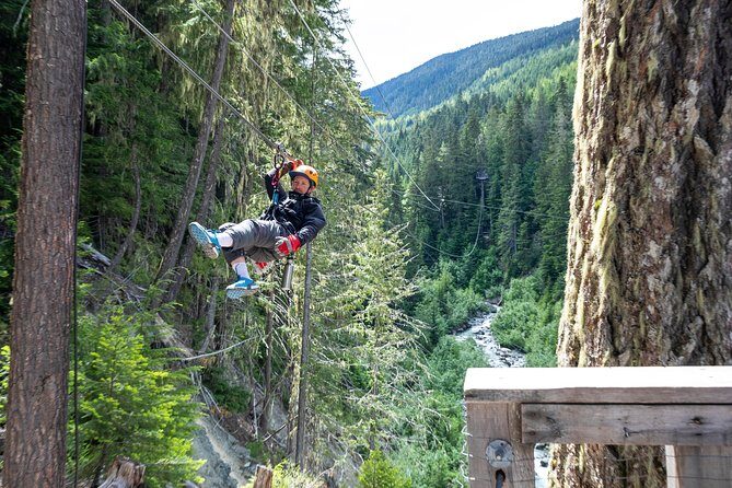 Zipline Adventure in Whistler - Pricing and Value