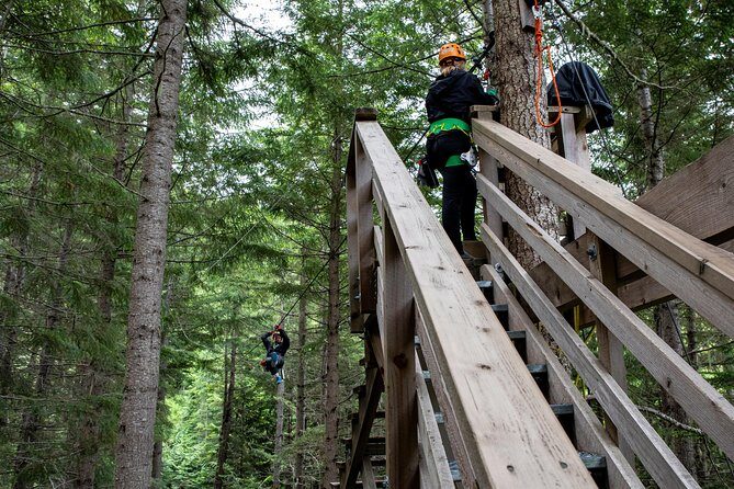 Zipline Adventure in Whistler - Who Would Love This Tour?