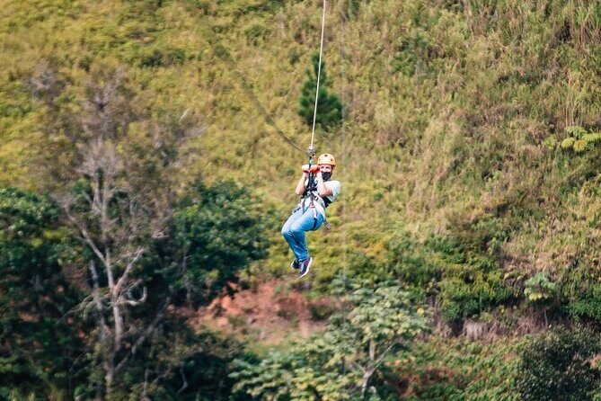 Zipline Adventure Tour - An In-Depth Look at the ToroVerde Zipline Tour
