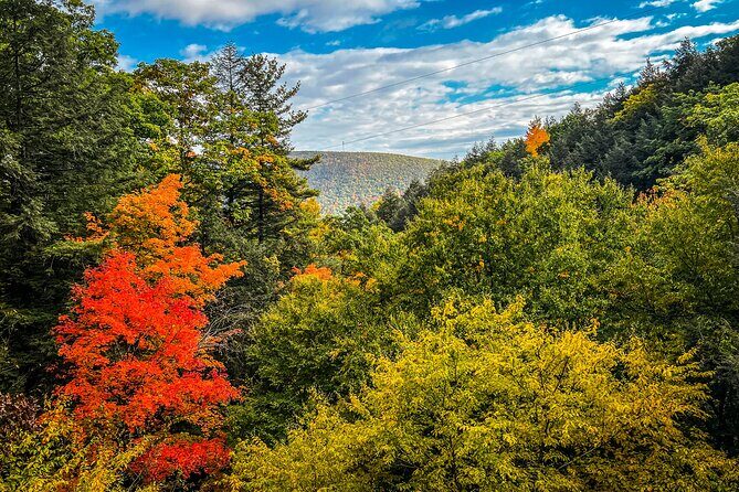 Zipline Canopy Activity Admission at Bristol Mountain - What the Reviews Say