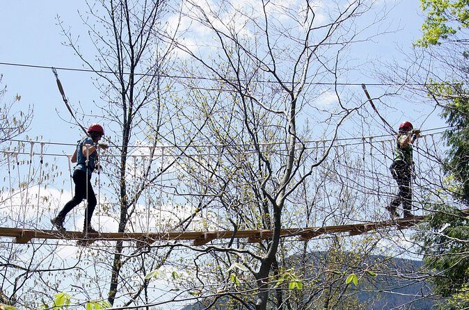 Zipline Canopy Tour- ArborTrek at Smugglers Notch Resort - Final Thoughts: Who Will Love This Tour?