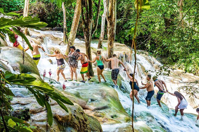 Zipline, Dunns River Falls, Bamboo Rafting & Horseback Ride Tour - A Closer Look at the Itinerary