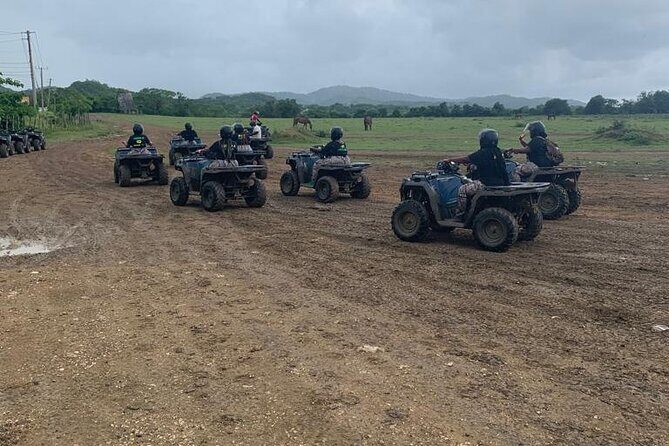 Zipline, Horseback Ride, ATV and Catamaran from Montego Bay - Authentic Feedback from Travelers