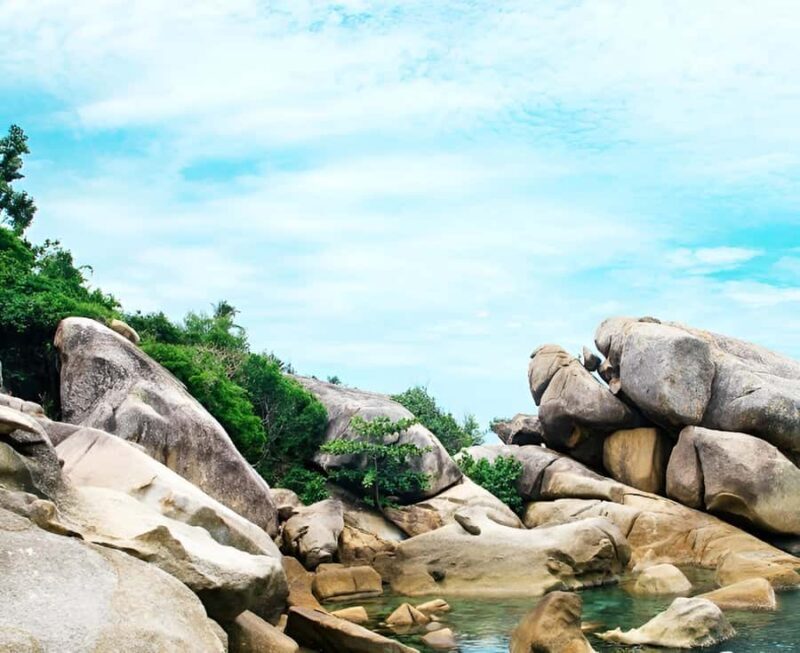 Zipline in Koh Samui Adventure activity tour - An In-Depth Look at the Koh Samui Zipline Experience