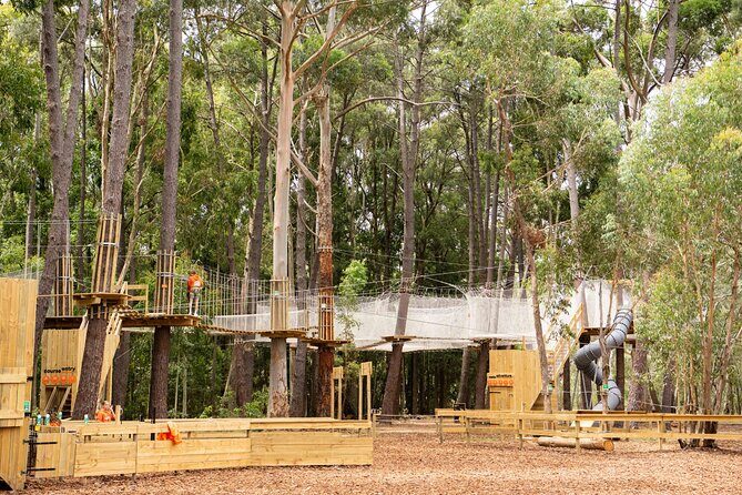 Zipline over the Heysen Trail & Through the Pines of Kuitpo - What You’ll Experience