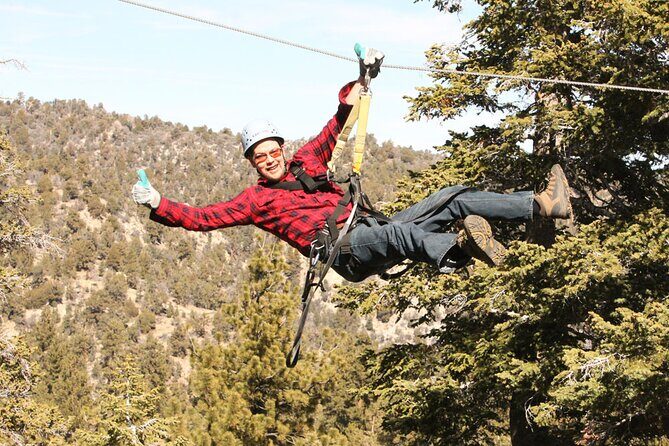 Zipline Tour - 9 high-speed ziplines & fun suspension bridge - What to Expect During the Tour