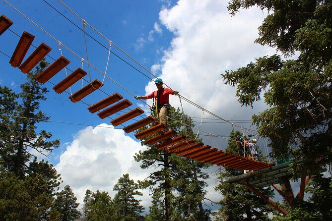 Zipline Tour - 9 high-speed ziplines & fun suspension bridge - Why This Tour Is a Great Choice