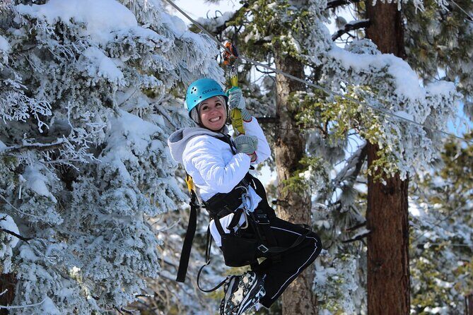 Zipline Tour - 9 high-speed ziplines & fun suspension bridge - The Sum Up